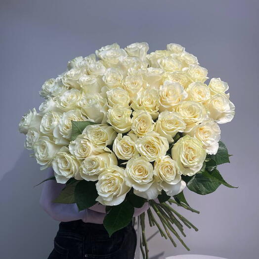 Розы "Мондиал", 70 см. 51 шт