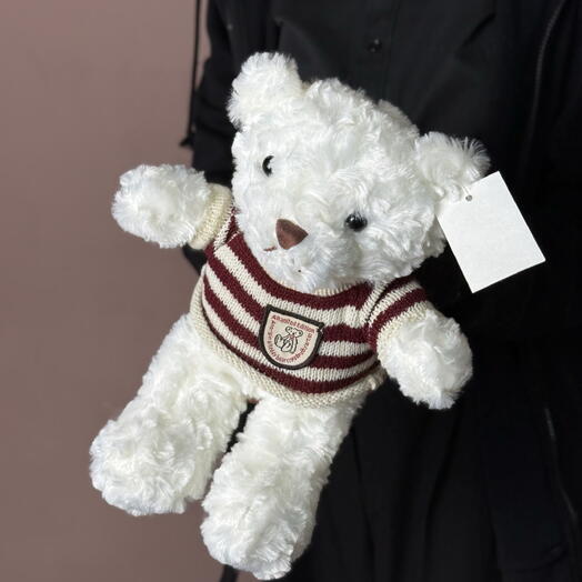 Белый мишка в свитере 🐻‍❄️🤍