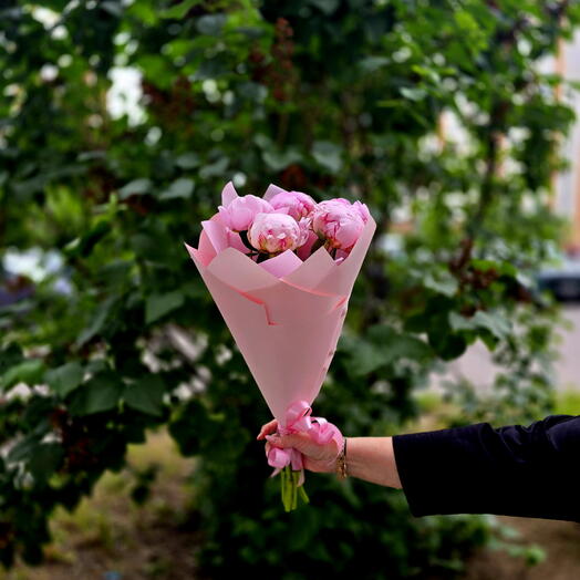 Букет из 5 Пинов Сара Бернард 💐
