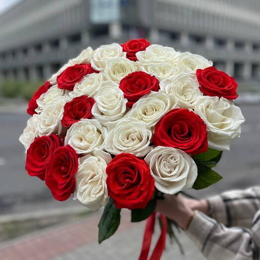 Розы 31 шт. 60 см. живые красные белые. Букет цветов