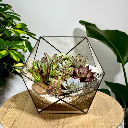 Florarium "Icosahedron" is large