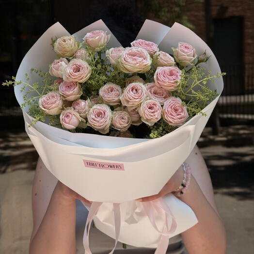 Spray rose Sweet Giselle