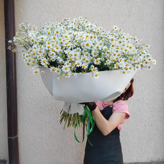 Букет гигант из ромашек