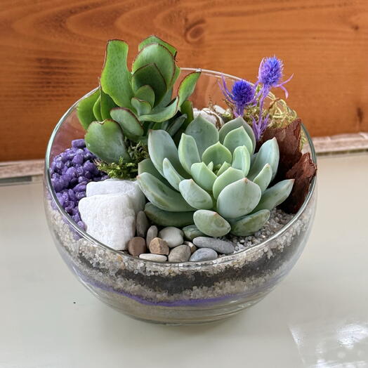 Florarium "Charm" with succulents, a gift
