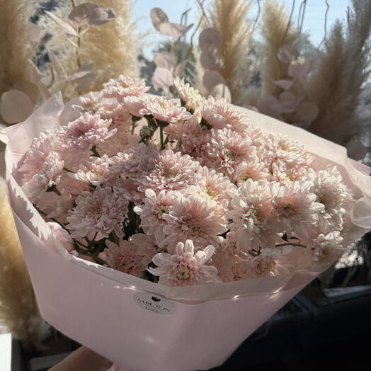 Maison Chrysanthemum 💕