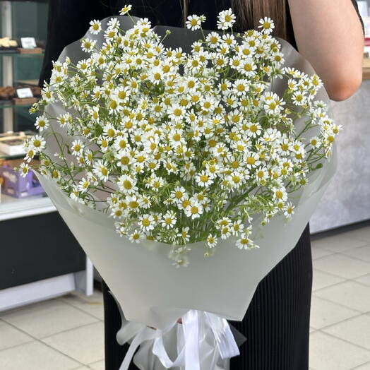 Монобукет из 11 веток ромашки в упаковке🌼