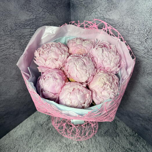 Babl Pink