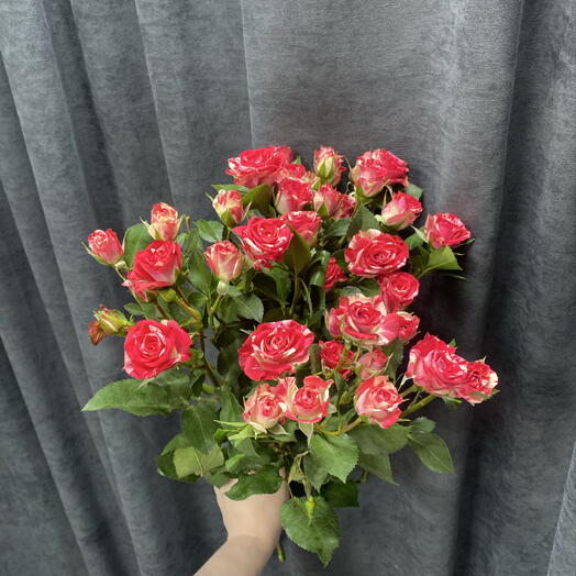 Розы кустовые 5