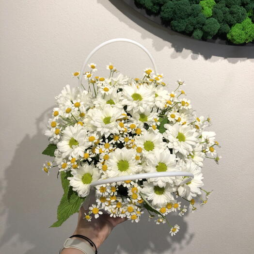 Поле ромашек