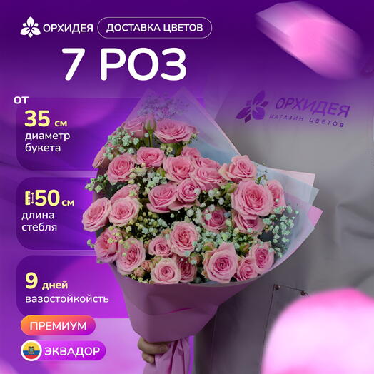 7 кустовых роз "Вега" с гипсофилой
