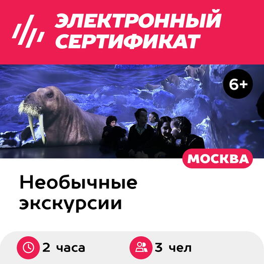 Подарочный сертификат Экскурсия В Тишине и Большая Страна, 1 взрослый и 2 детей, будни (2 часа)