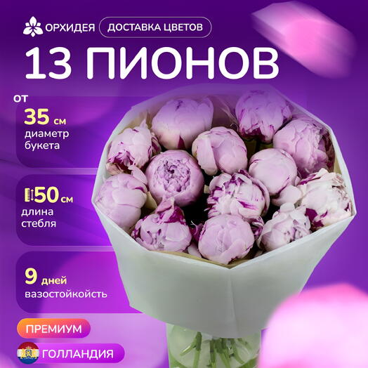 13 пионов "Сара Бернар"