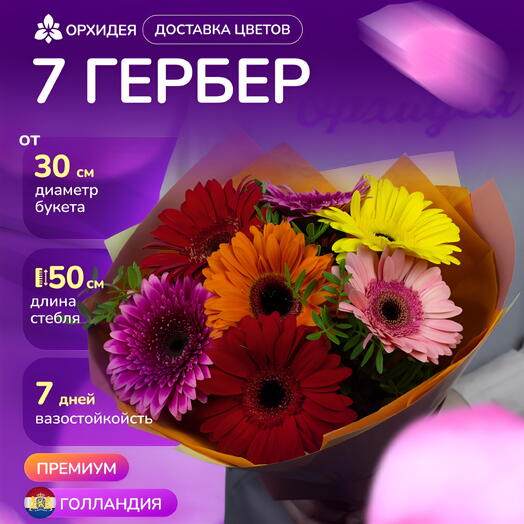7 гербер микс