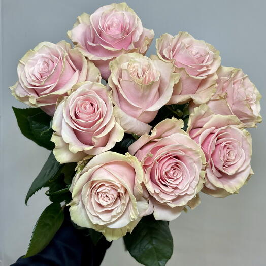 Нежный букет из 9 французских роз Пинк Мондиаль 💕