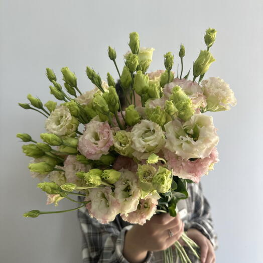 Нежная эустома 🌸