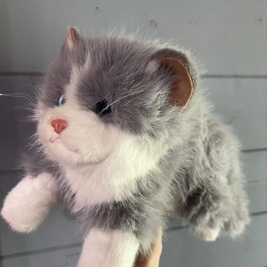 Мягкая игрушка кот