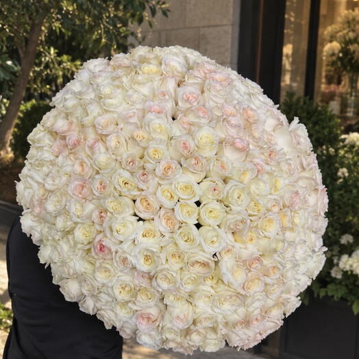 White rose