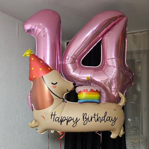 Набор шаров на 14лет дочки, девочки и шар такса, собака таксик, щенок в колпачке-3шара