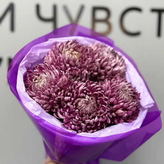 Трендовый💟