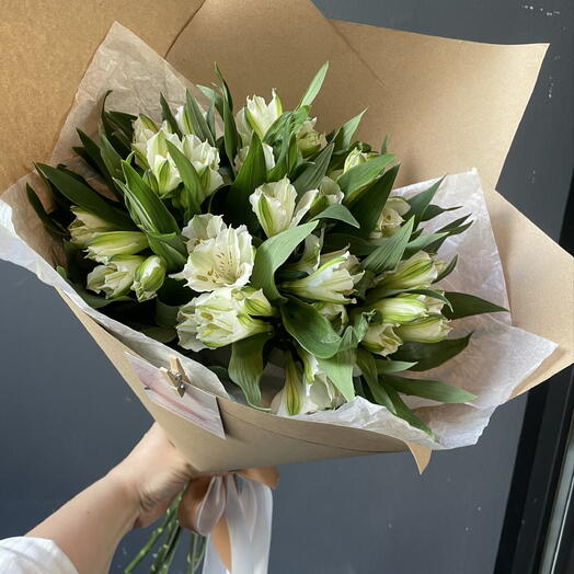 Моно букет из белой астромерии