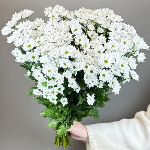 Пачка Сантини белая, 25 шт