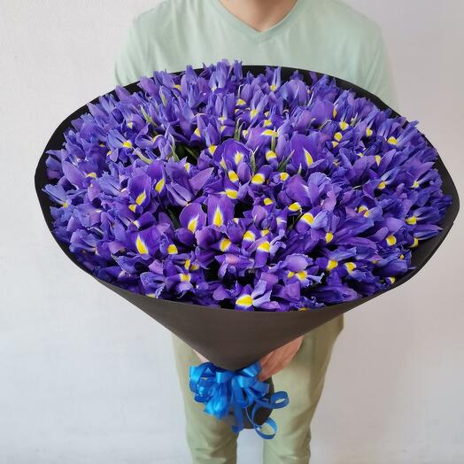 Bouquet of 101 irises
