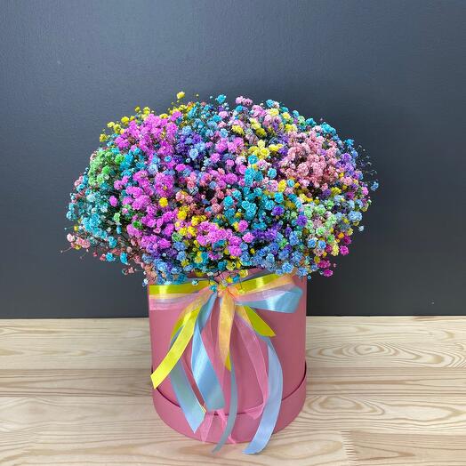 Gypsophila in a box