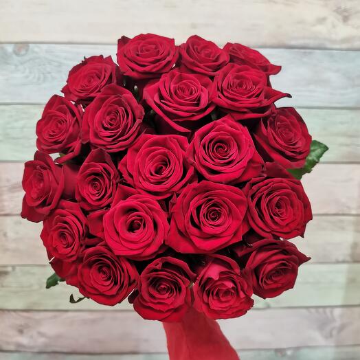 21 rosa Prestige