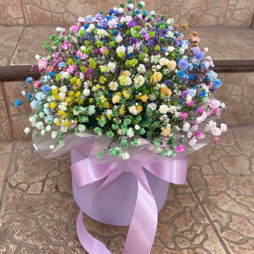 Gypsophila iridiscente en una Caja
