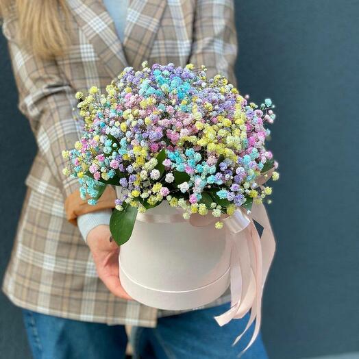 Composición De Gypsophila