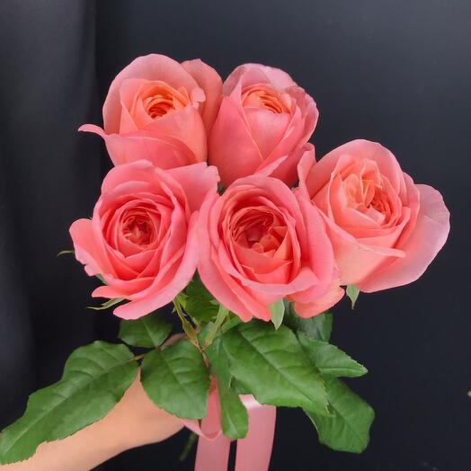 Rosas