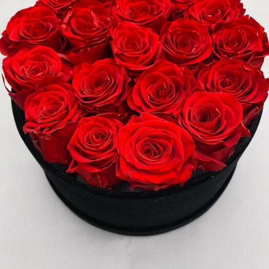 Red Infinity roses (Bigger Size)