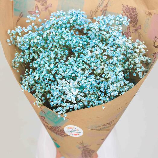 Gypsophila blue