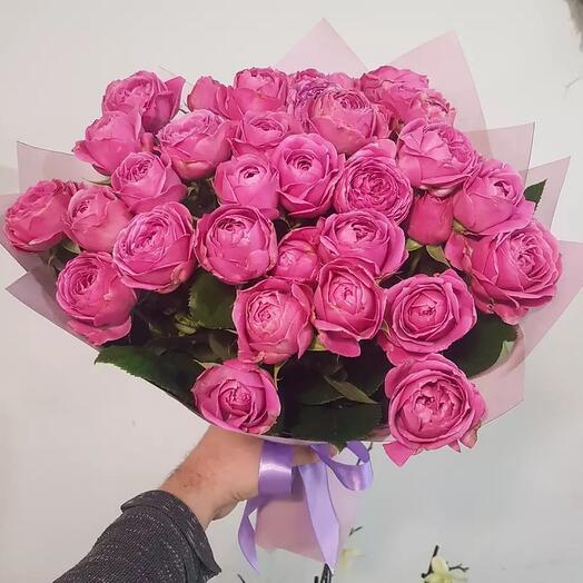 Мисти бабблс 19