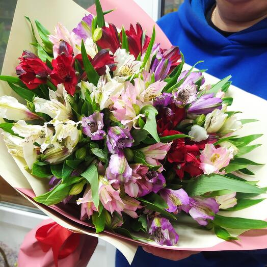 Beautiful alstroemeria