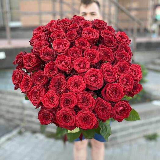 Розы 51 штука + 🎁 лепестки