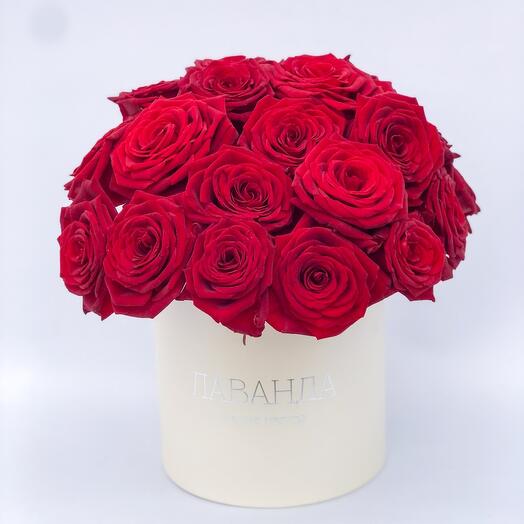 Rosas rojas en una Caja