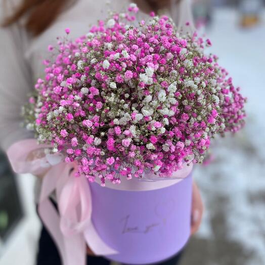 Гипсофила LOVE