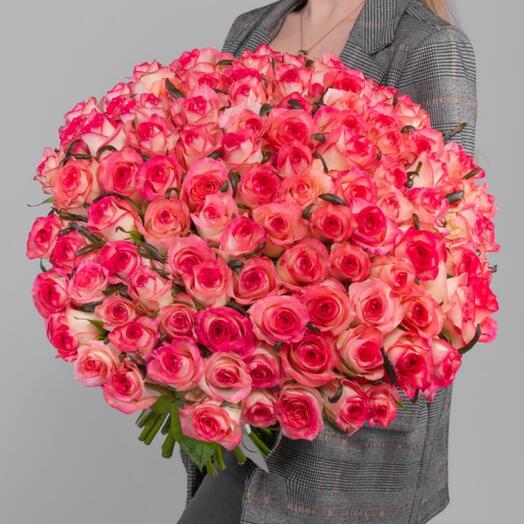 101 Roses "Jumilia"