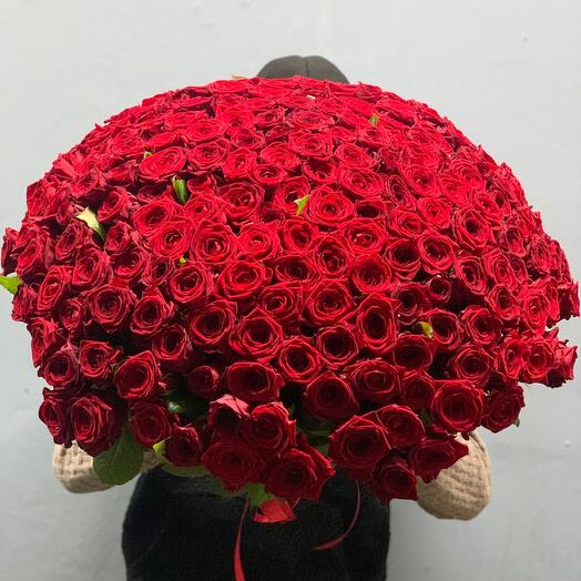 Bouquet of roses