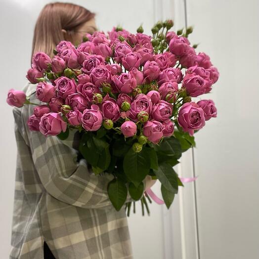 Пионовидные кустовые розы Мисти