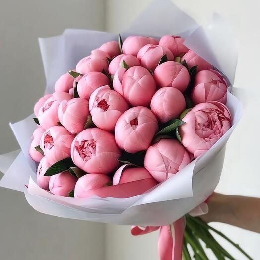 Peonies 29