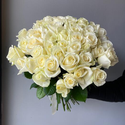 51 rosa