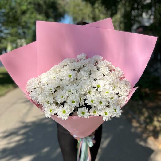 Розовое облако из хризантем