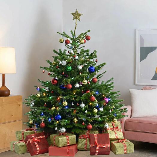 6 Feet Fresh Xmas Tree with Decoration