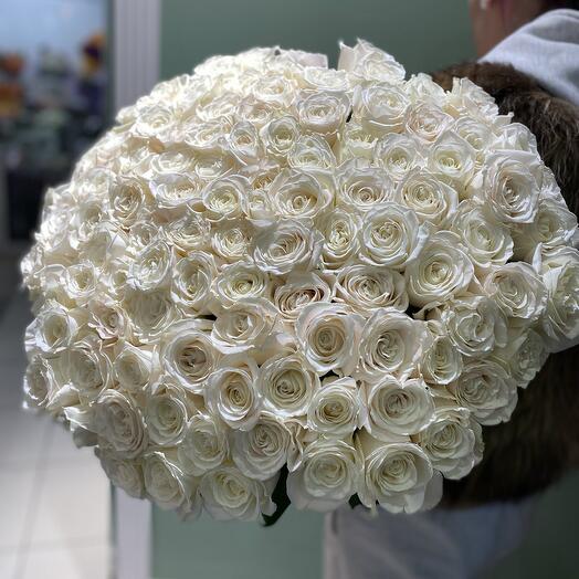 101 White Rose