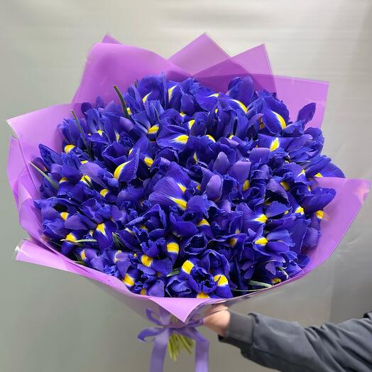 Ирис Blue Magic XXL