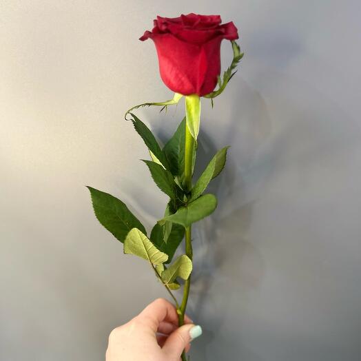 Роза Червона 60 см