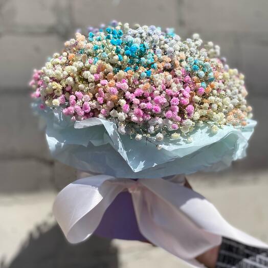 "Nube arcoíris" de gypsophila xs