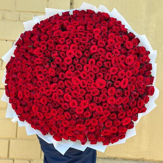 351 роза 🌹